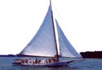 Cruise on the skipjack Martha Lewis on the Chesapeake Bay